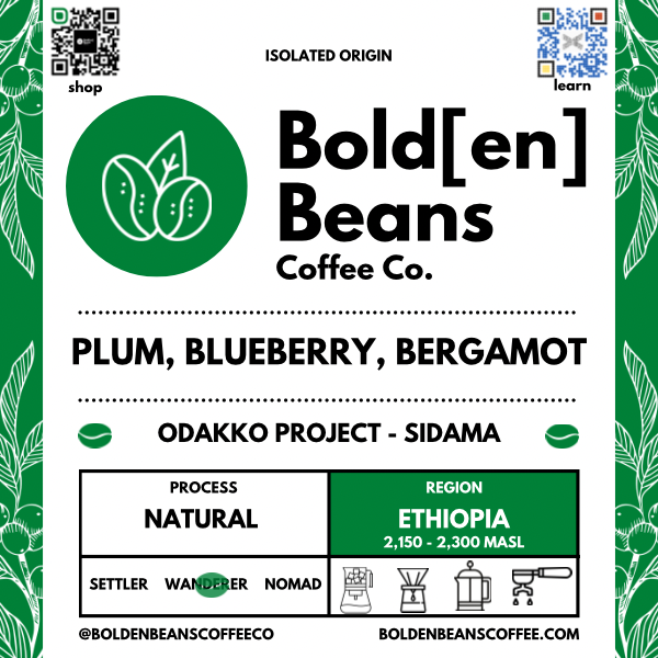 Odakko Project - Sidama (Ethiopia)