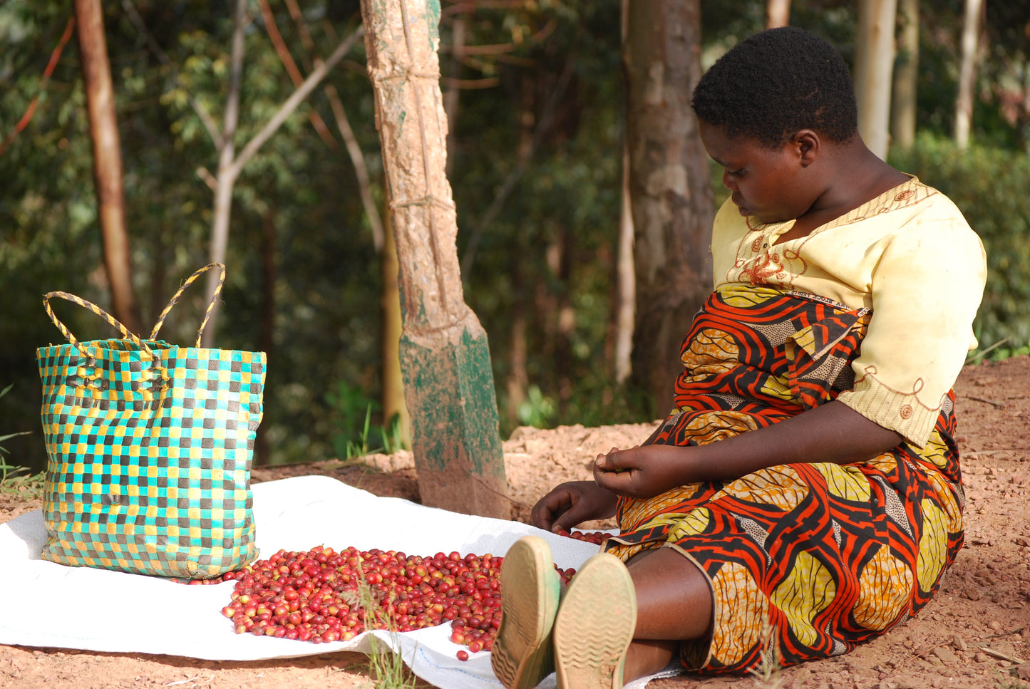 Green Label, Single Origin (Rwanda)